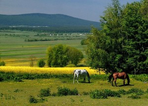 Święta Katarzyna okolice